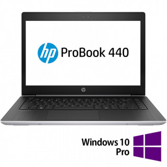 Laptop Refurbished HP ProBook 440 G5, Intel Core i5-8250U 1.60GHz, 8GB DDR4, 256GB SSD, 14 Inch Full HD, Webcam + Windows 10 Pro